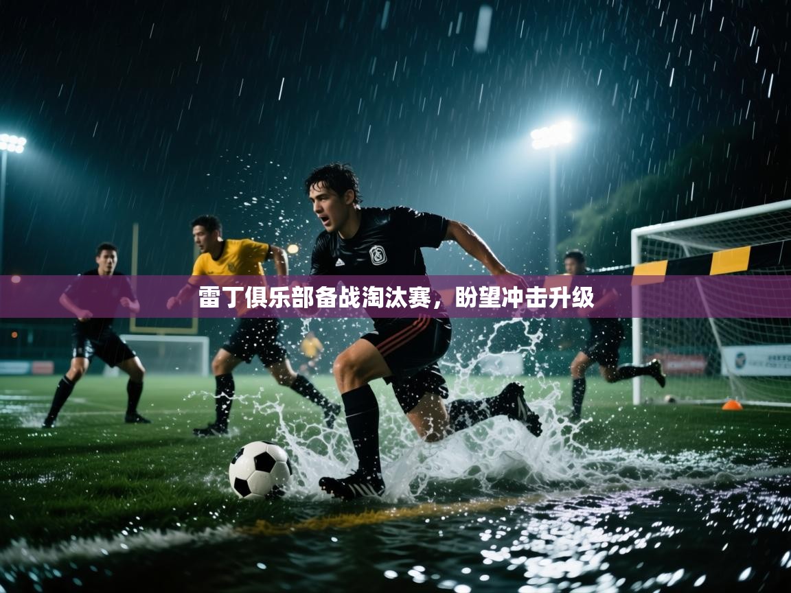 雷丁俱乐部备战淘汰赛，盼望冲击升级  第1张