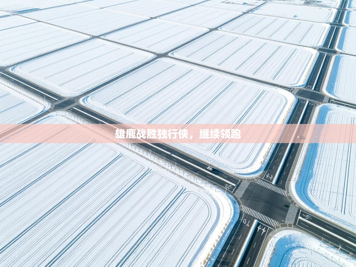 雄鹿战胜独行侠,继续领跑 第1张