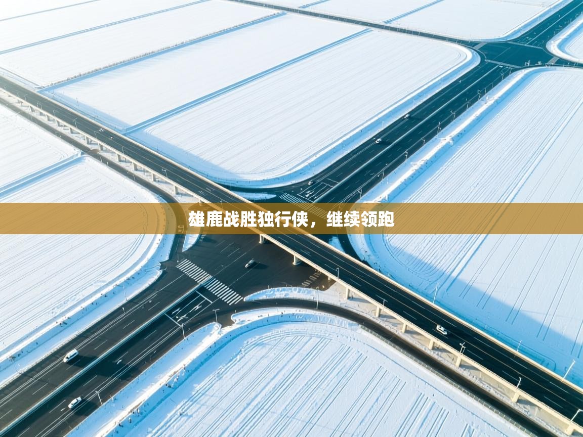 雄鹿战胜独行侠,继续领跑 第2张