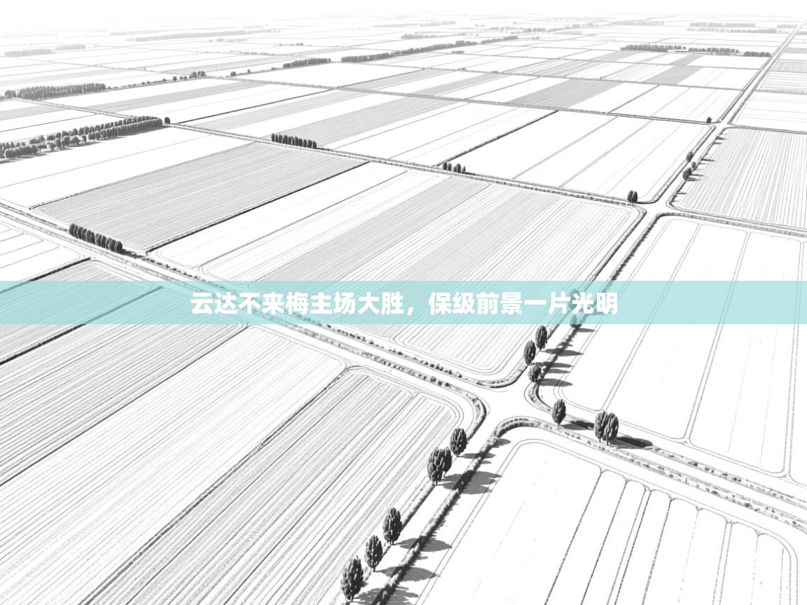 云达不来梅主场大胜,保级前景一片光明 第1张