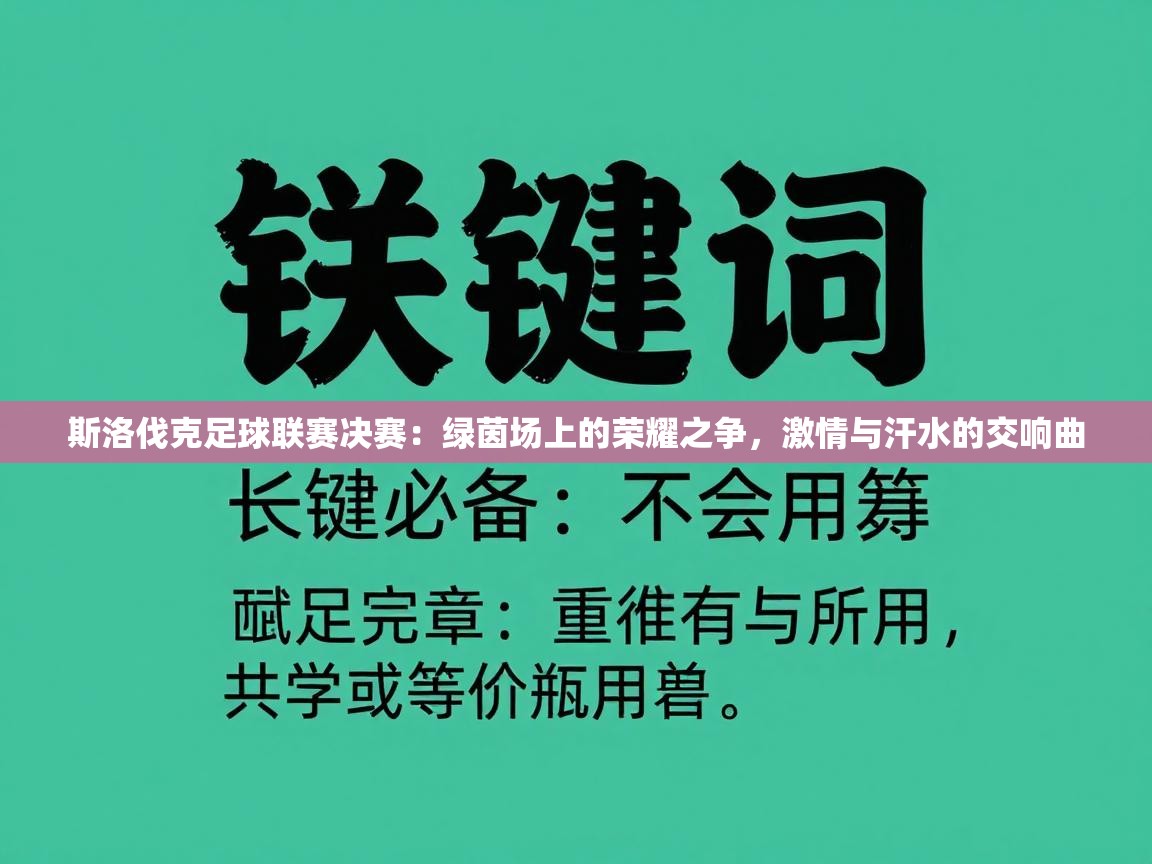 斯洛伐克足球联赛决赛：绿茵场上的荣耀之争，激情与汗水的交响曲  第1张