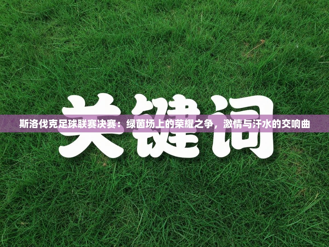 斯洛伐克足球联赛决赛：绿茵场上的荣耀之争，激情与汗水的交响曲  第2张