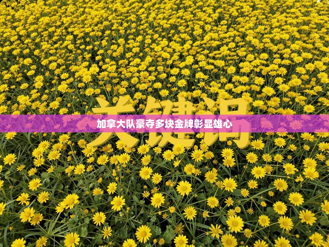 加拿大队豪夺多块金牌彰显雄心 第1张